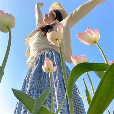 探长薇拉第十四季